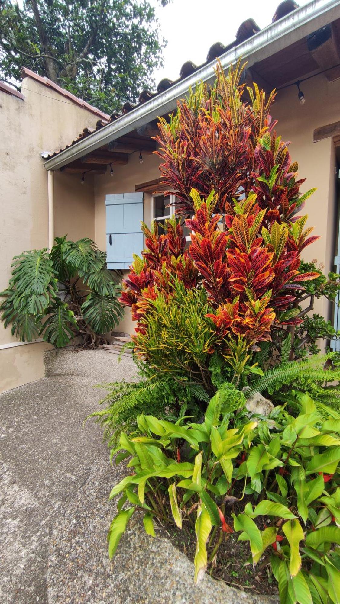Casa Colonial 